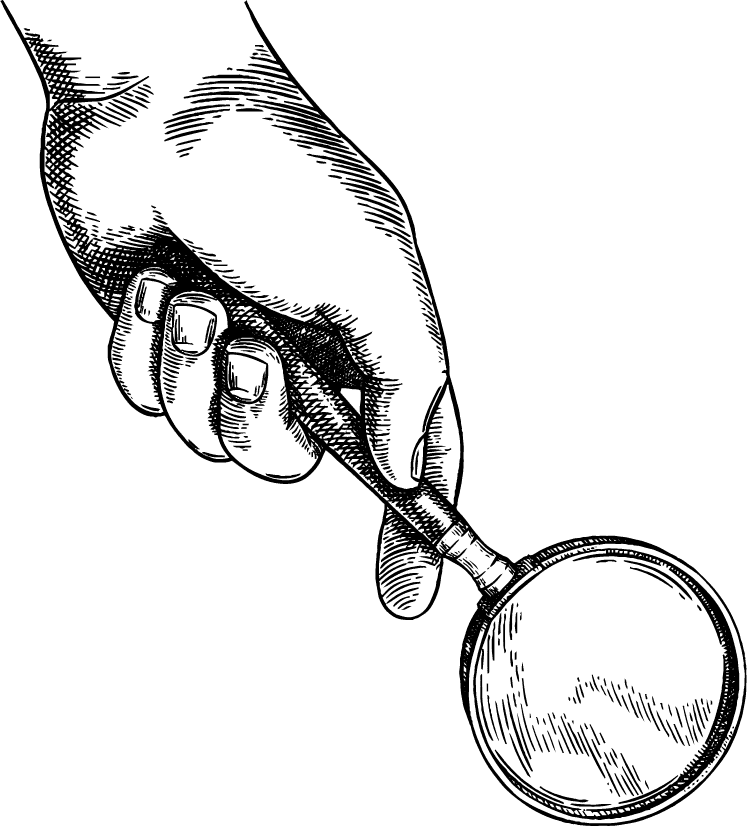 Mathematical-Financial Audits - POL Finance